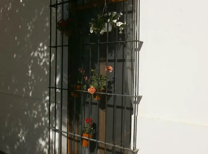 Casa En Plaza De La Merced_centro Flamenco_cadiz *